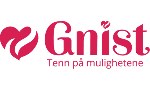 Gnist — Tenn på mulighetene